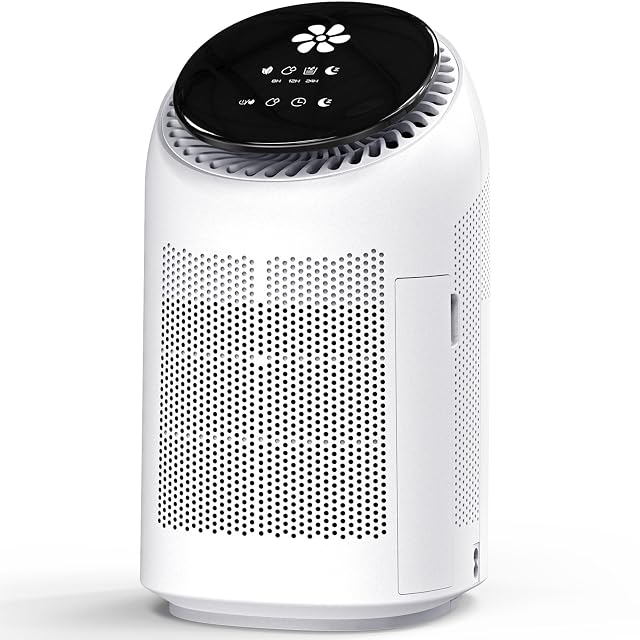 Lonxfy small dehumidifier with purification function and drain hose