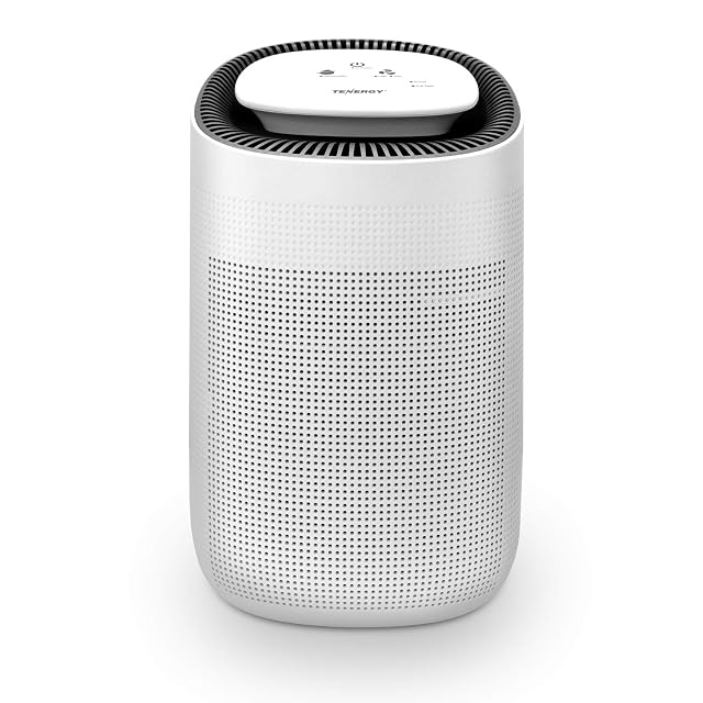 Tenergy Sorbi dehumidifier with purifying function and removable water tank